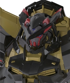RG Mobile Suit Gundam SEED Astray 1/144 Gundam Astray Gold Frame Amatsu Mina Plastic Model