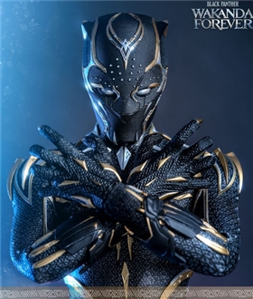 Black-Panther-Black-Panther-2-Long-Live-Wakanda-16