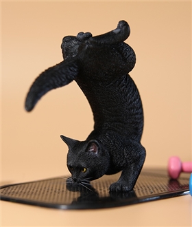 Yoga-Cat-20-16