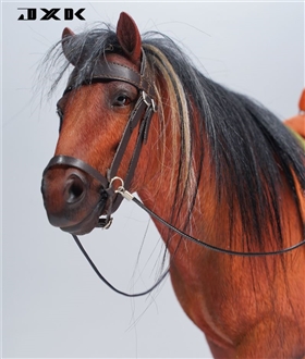 Mongolian-Horse-16