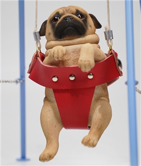 Pug-On-The-Swing-16