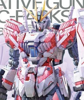 MG-1100-Narrative-Gundam-C-PACKS-VerKa