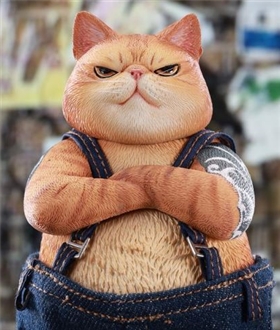 Tough-guy-Cat