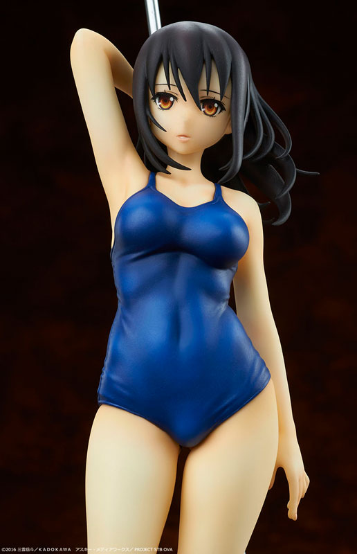 Strike the Blood - Yukina Himeragi School Swimsuit ver. 1/7 Complete Figure
