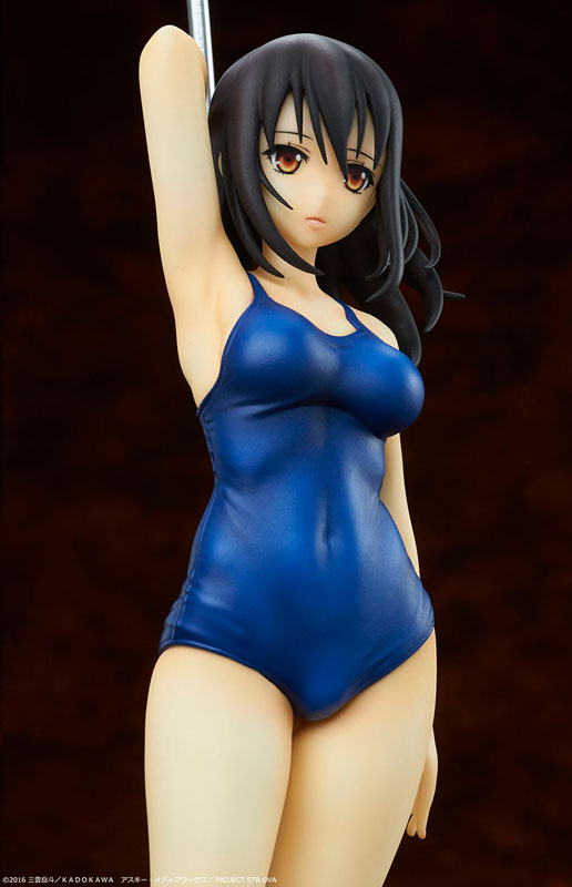 Strike the Blood - Yukina Himeragi School Swimsuit ver. 1/7 Complete Figure