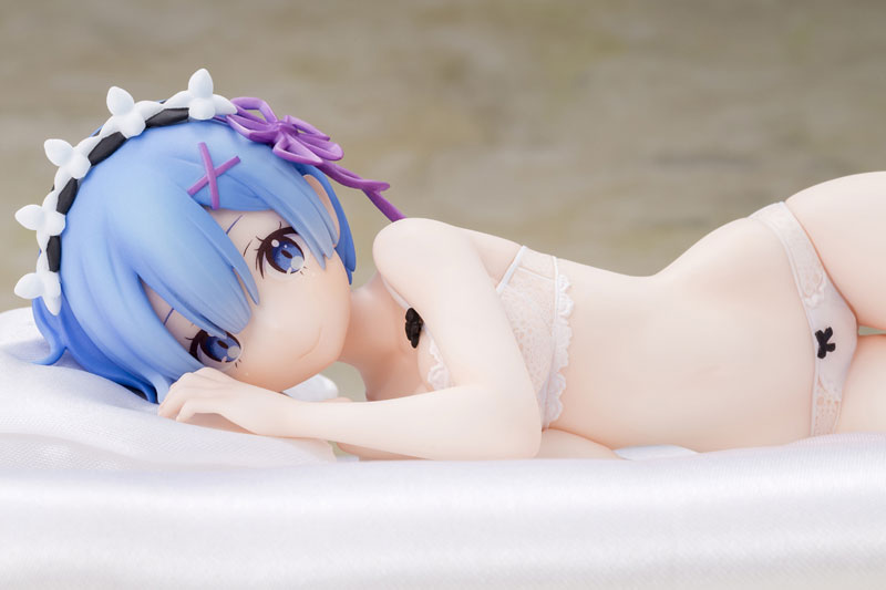 Re:ZERO -Starting Life in Another World- Rem Sleep Sharing Ver.