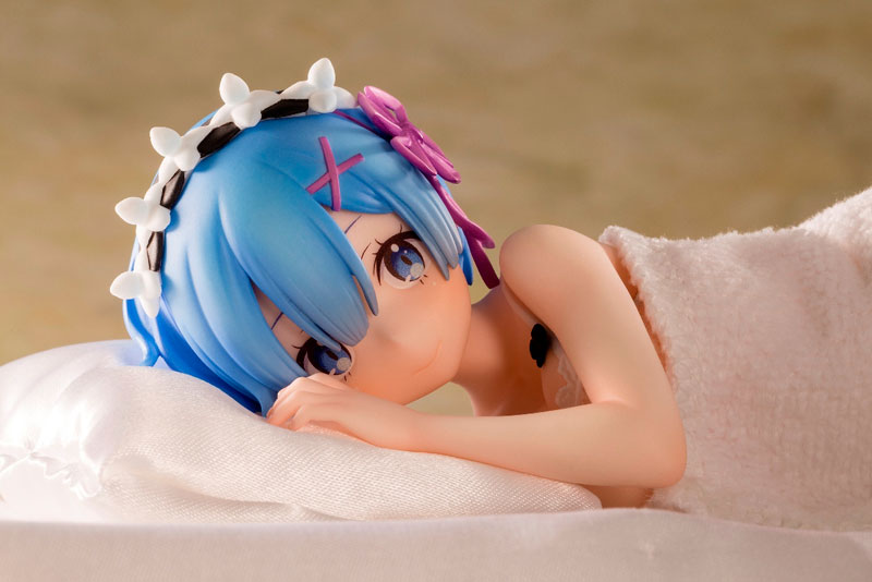 Re:ZERO -Starting Life in Another World- Rem Sleep Sharing Ver.