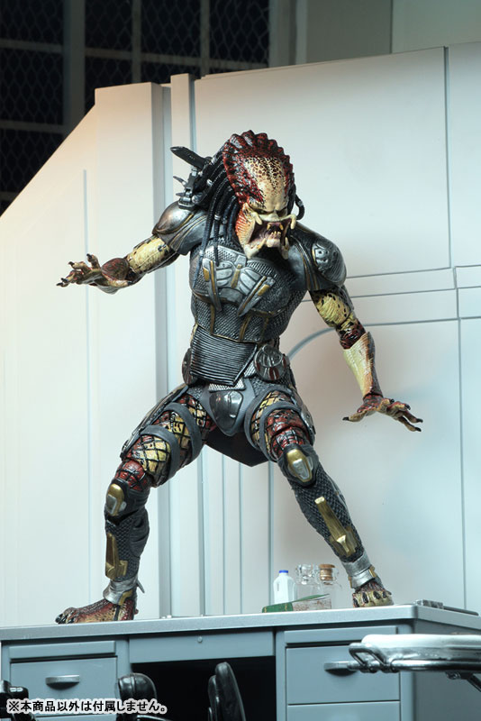 THE PREDATOR/ Fugitive Predator