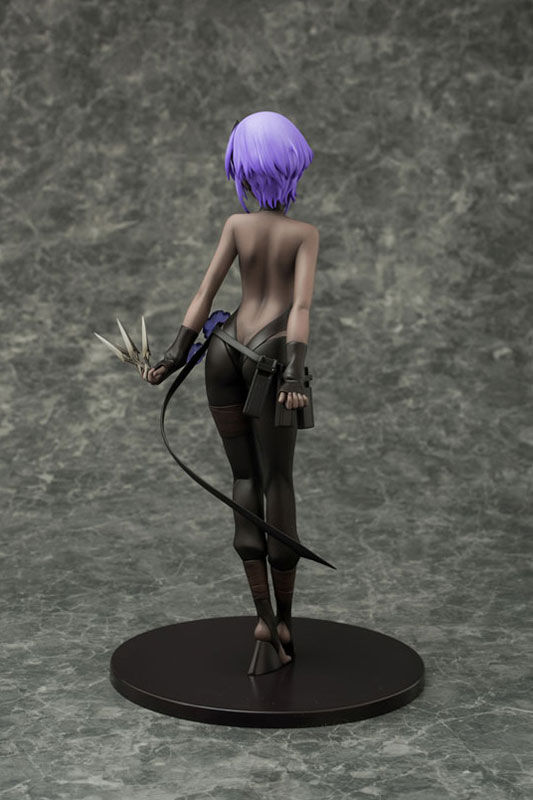 Fate/Grand Order - Assassin/Hassan of Serenity