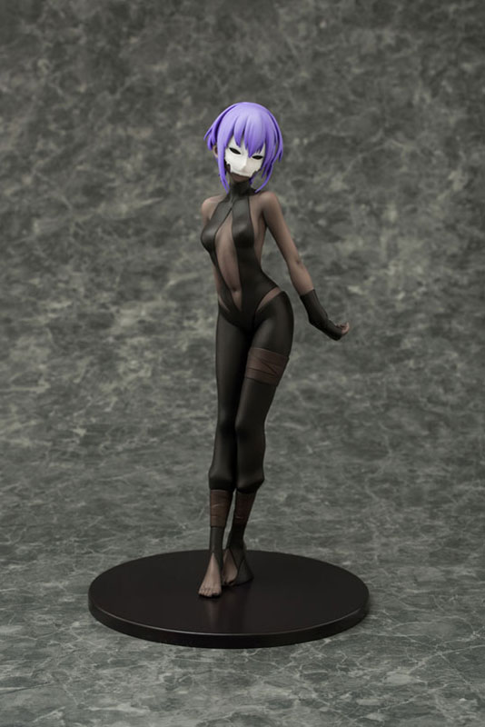 Fate/Grand Order - Assassin/Hassan of Serenity