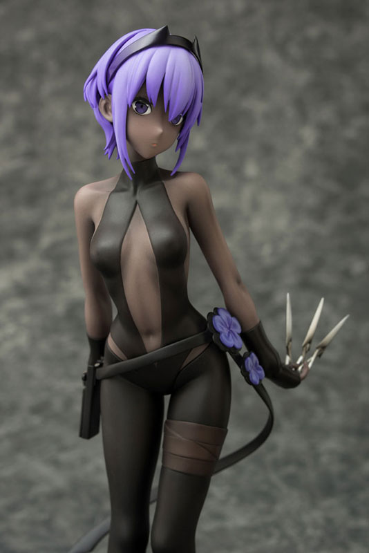 Fate/Grand Order - Assassin/Hassan of Serenity