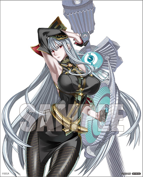 Valkyria Chronicles - Selvaria Bles -Battle mode