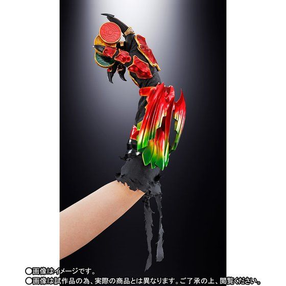 TAMASHII Lab : Kamen Rider OOO - ANKH (Bandai)