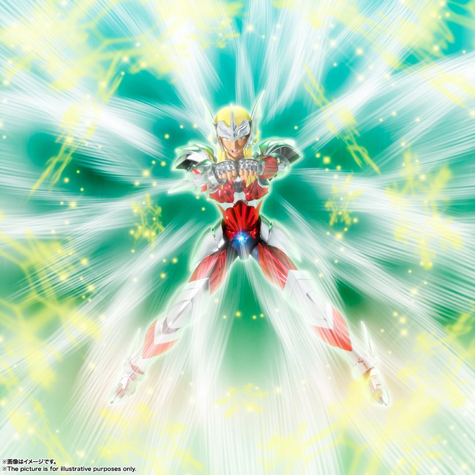 Saint Cloth Myth EX Asgard Hagen Beta Merak (Bandai)