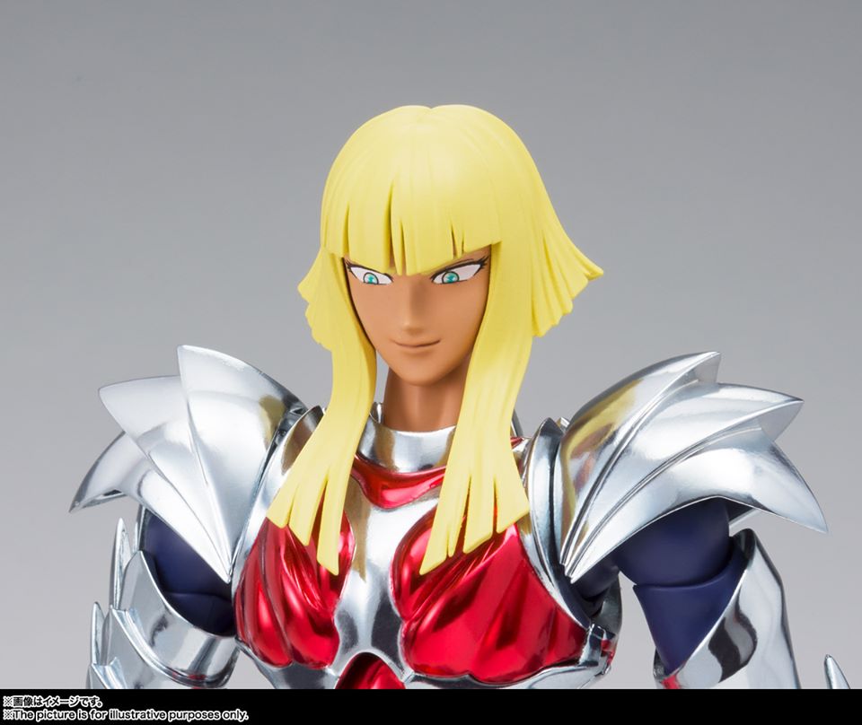 Saint Cloth Myth EX Asgard Hagen Beta Merak (Bandai)