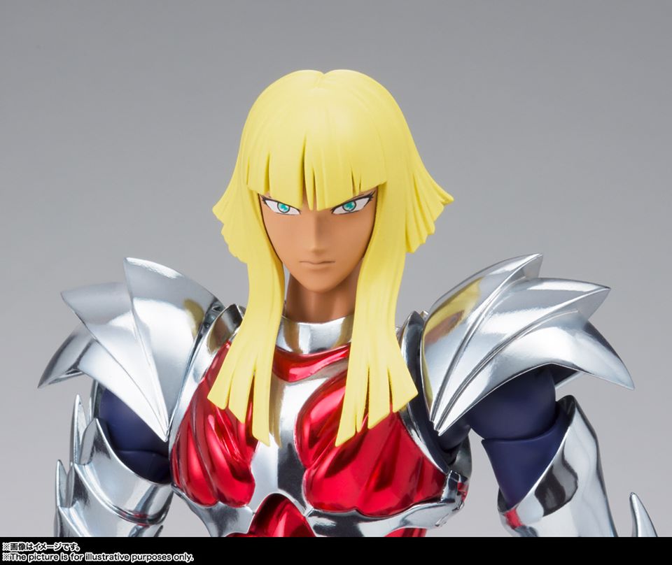 Saint Cloth Myth EX Asgard Hagen Beta Merak (Bandai)