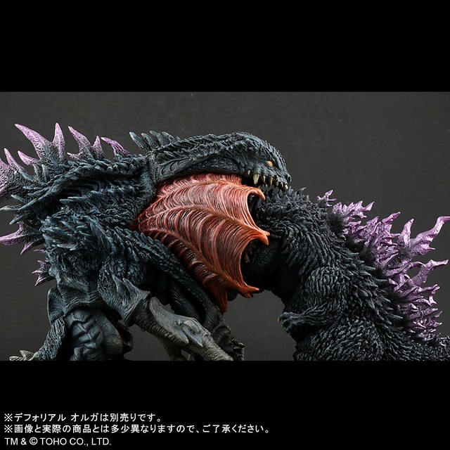 X-PLUS - Deforeal Olga