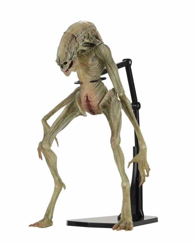 Alien / 7 Inch Action Figure Series: Alien Resurrection Newborn Alien
