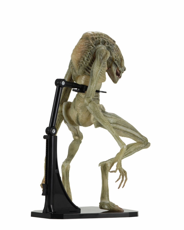 Alien / 7 Inch Action Figure Series: Alien Resurrection Newborn Alien