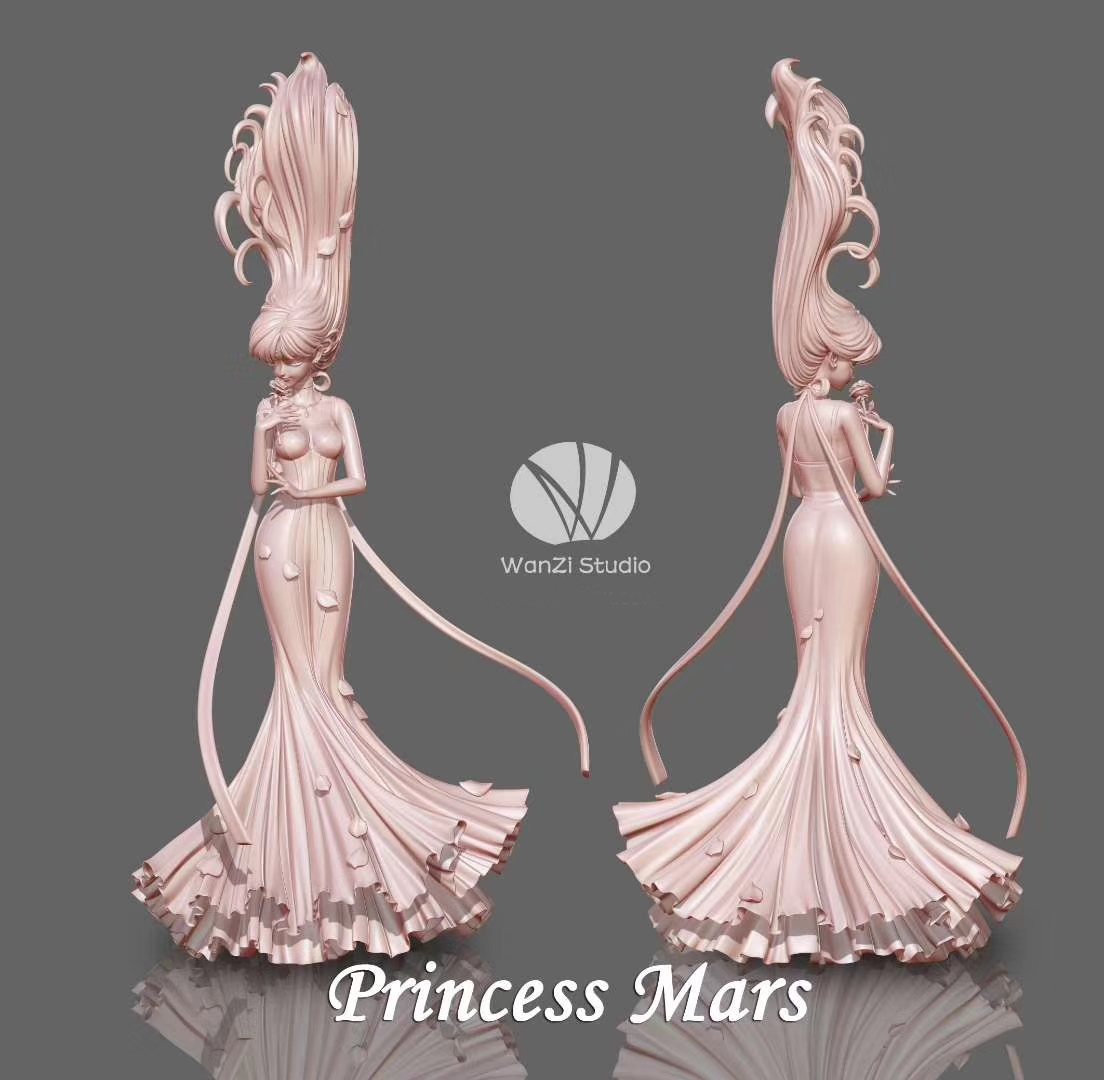 Sailor Moon in Dress (Wanzi Studio)