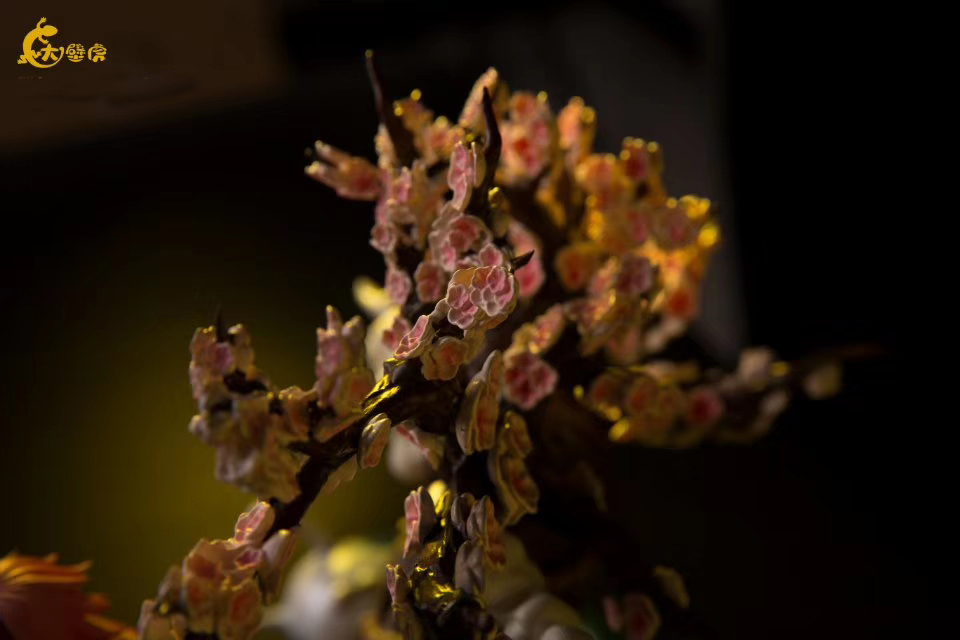 Sakura (Gecko Studio)