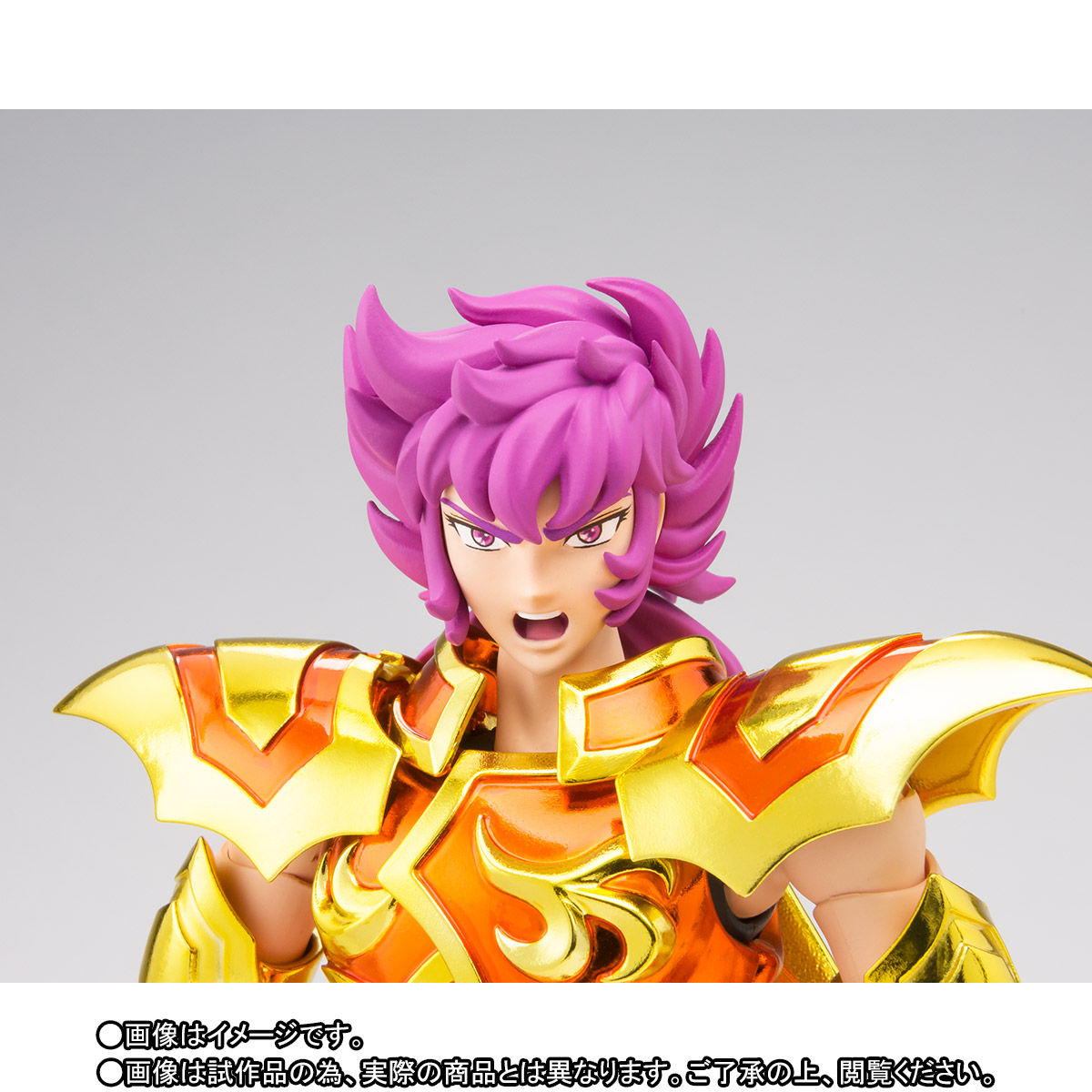 Saint Cloth Myth EX Curio (Bandai Spirits)