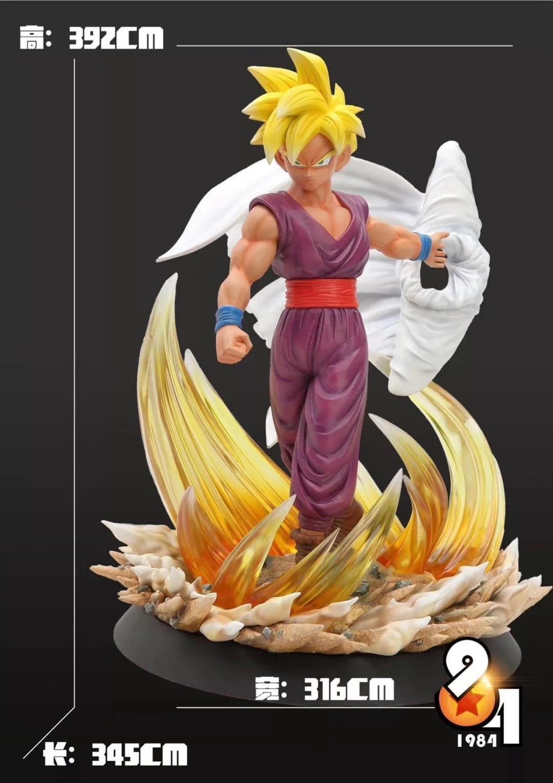 Gohan by 1984 Studio