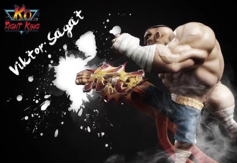 Fight King - Street Fighter - Ryu & Sagat