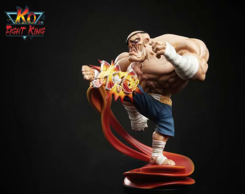 Fight King - Street Fighter - Ryu & Sagat