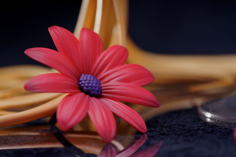 Glass Girl -Lily Wine 1/8 (RIBOSE)