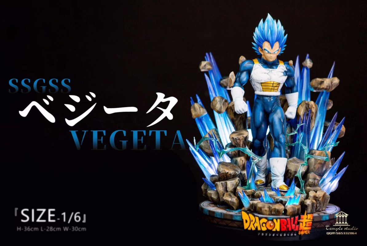 Temple Studio - Vegeta