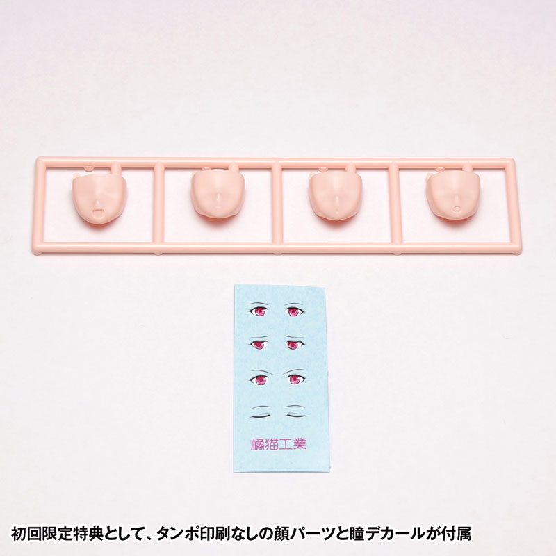 MULTI PURPOSE HUMANOID ROBOT C.A.T.-00 Plastic Model (WAVE)