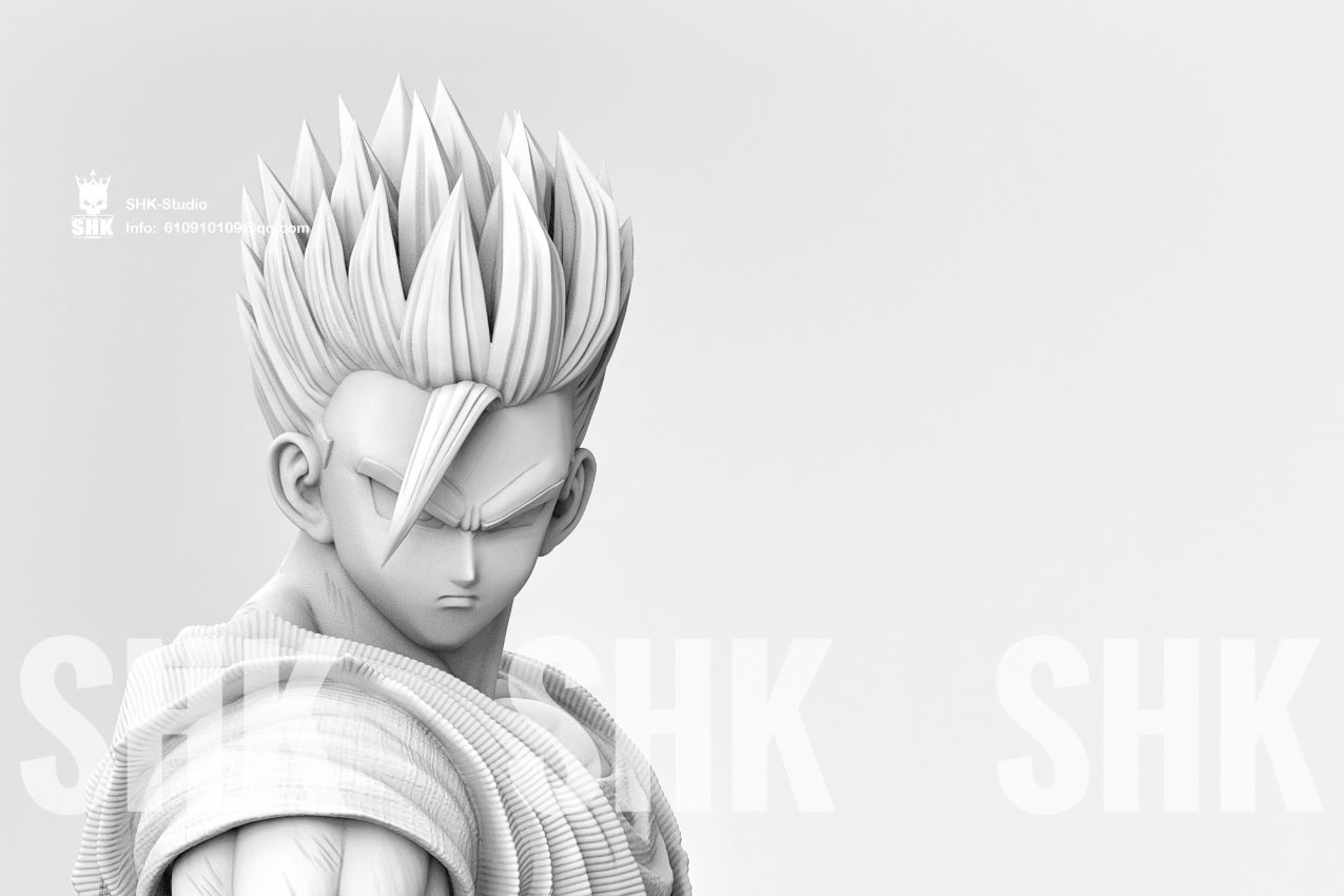 SHK Studio Dragonball DBZ 1/6 Gohan Lifetime series