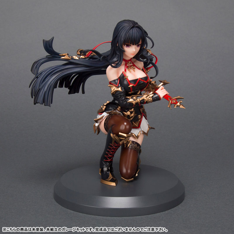 King's Raid Shadow of Abyss Seria 1/7 Unpainted Garage Kit (Movic)