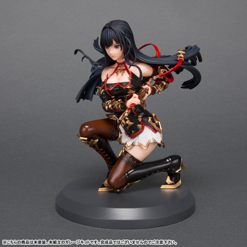 King's Raid Shadow of Abyss Seria 1/7 Unpainted Garage Kit (Movic)