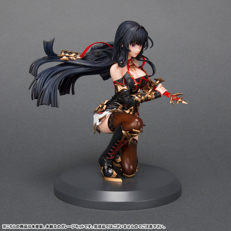 King's Raid Shadow of Abyss Seria 1/7 Unpainted Garage Kit (Movic)