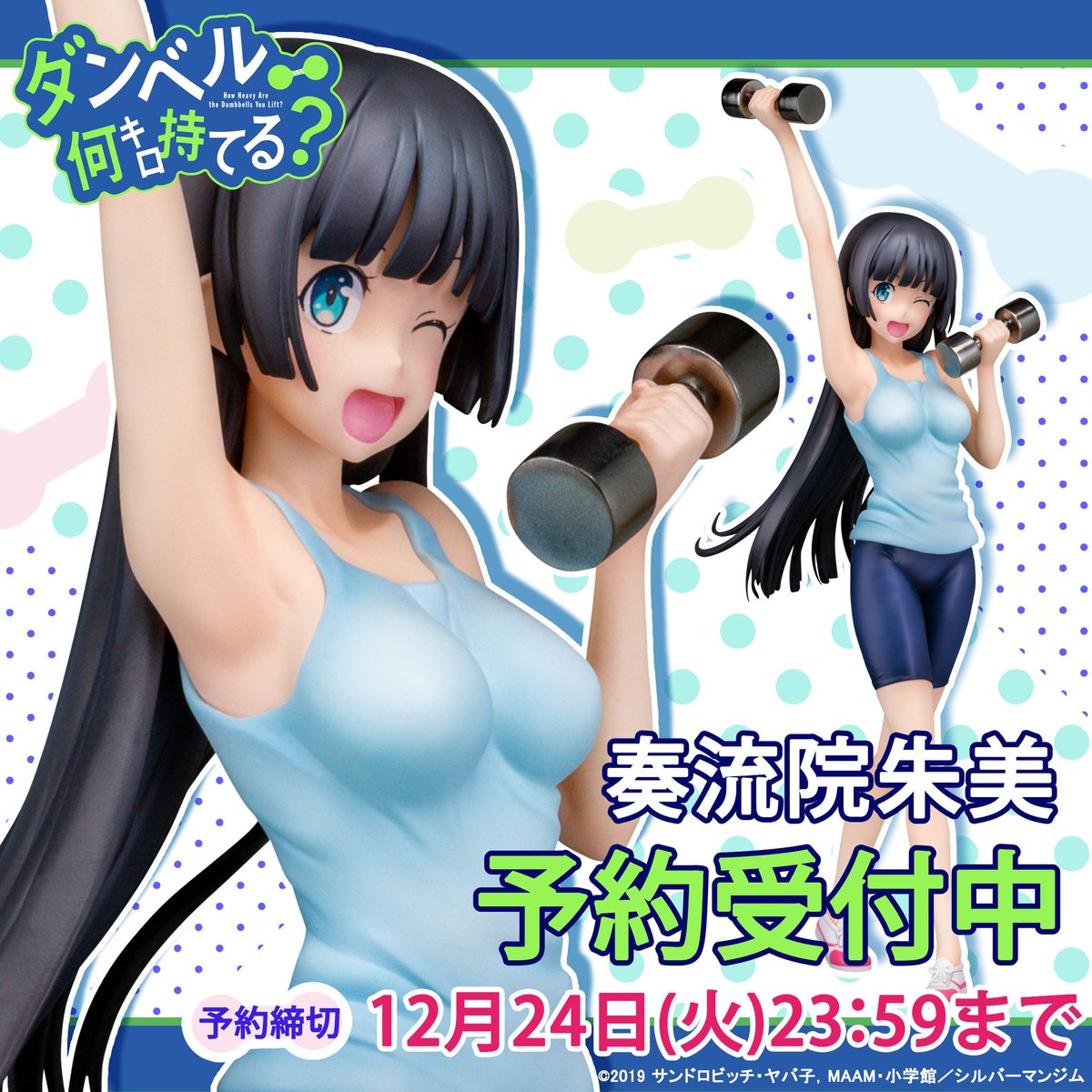 Dumbbell Nan Kilo Moteru? - Akemi Souryuuin 1/7 (B´full FOTS JAPAN)