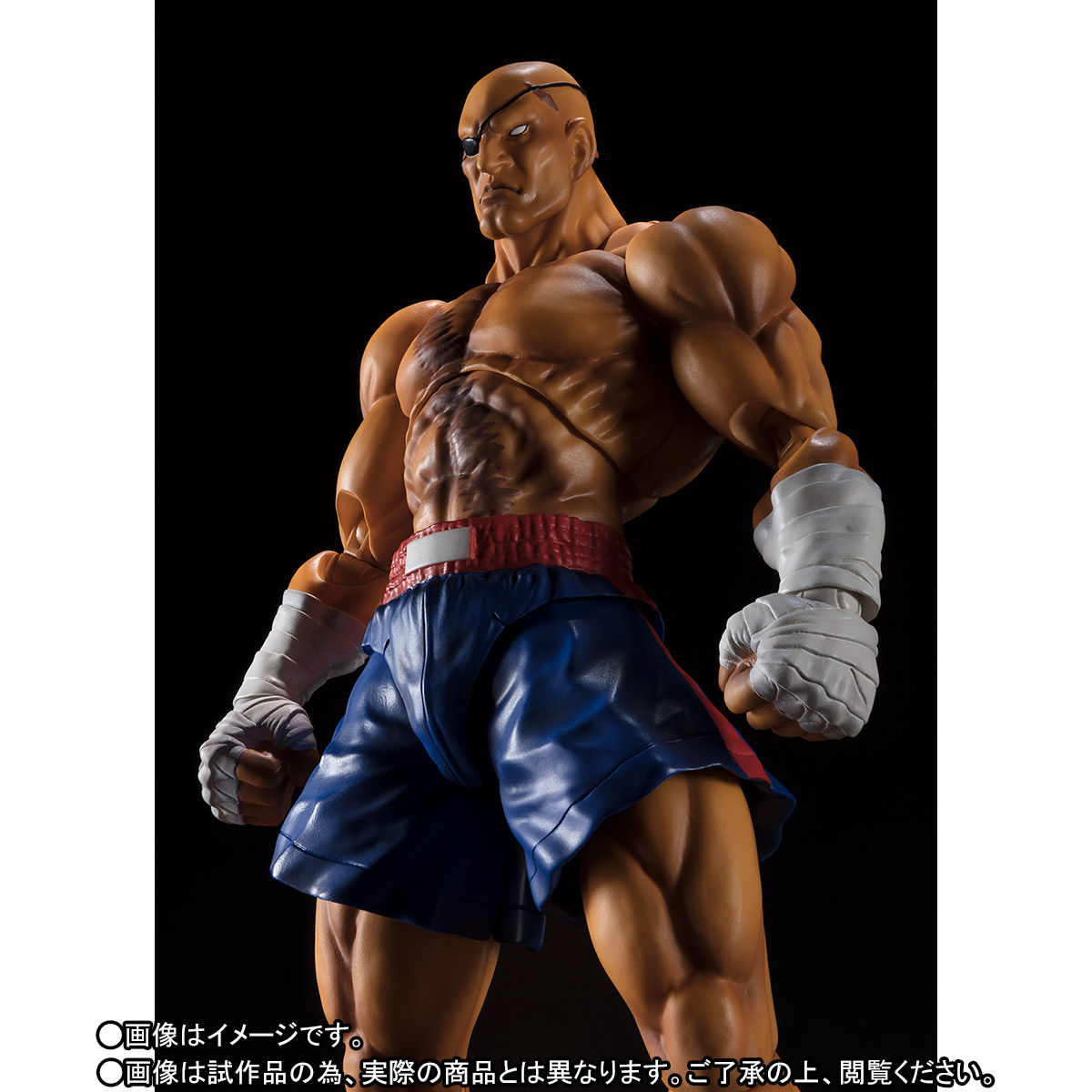 Street Fighter V - S.H. Figuarts Sagat (Bandai Spirits)