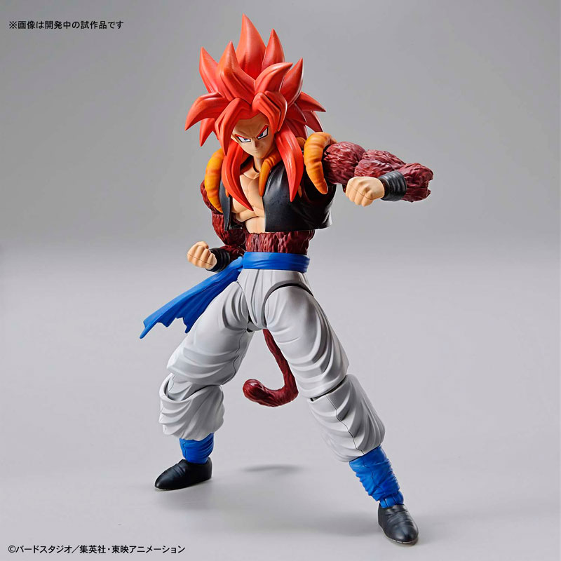 Figure-rise Standard Super Saiyan 4 Gogeta Plastic Model (Dragon Ball GT)
