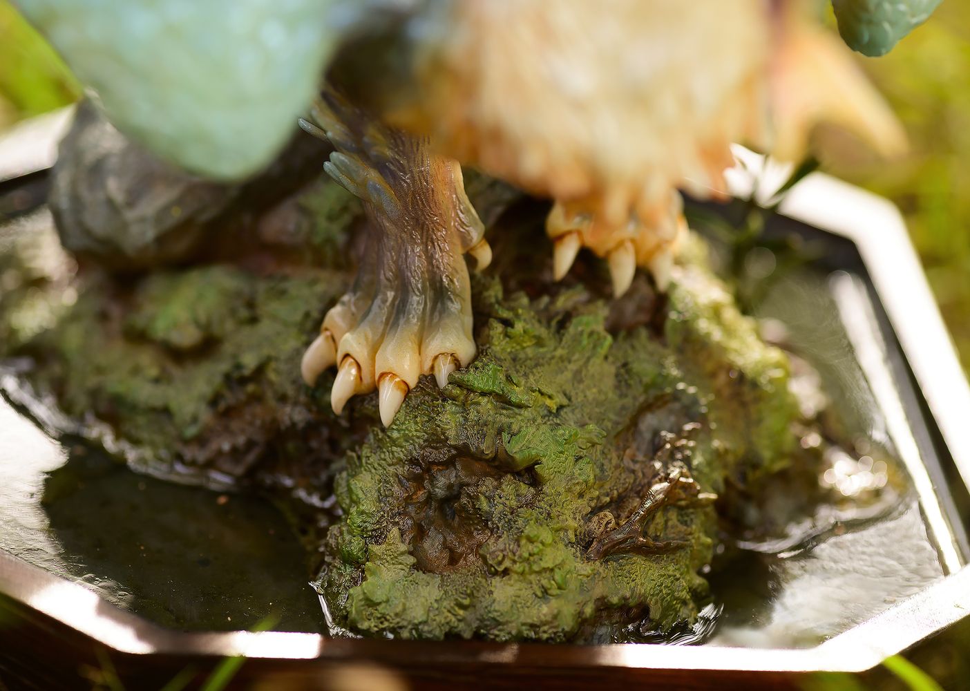 Animal Planet - Cui Yu Cat