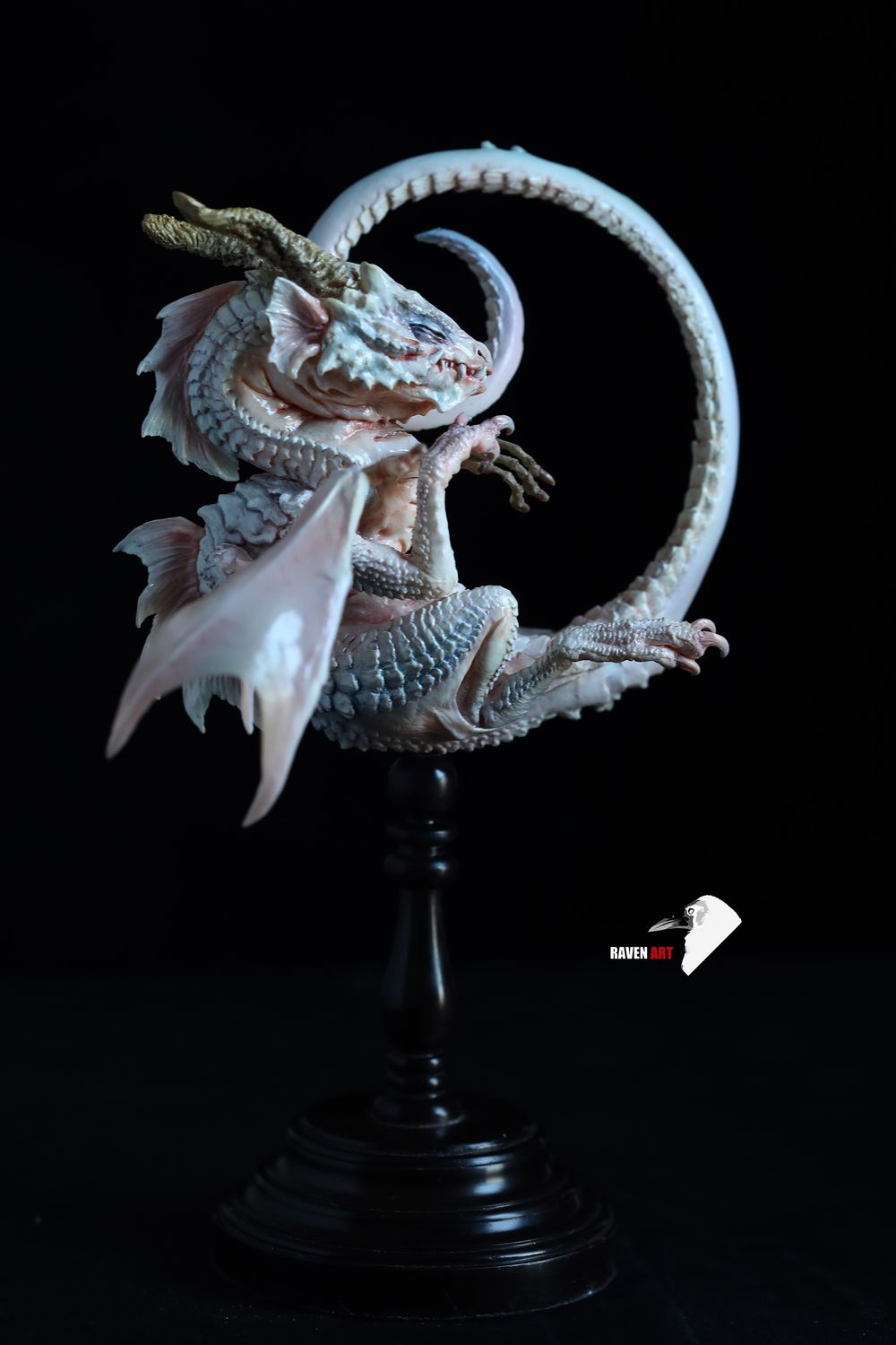 Storytelling Studio - The dragon specimen - white version
