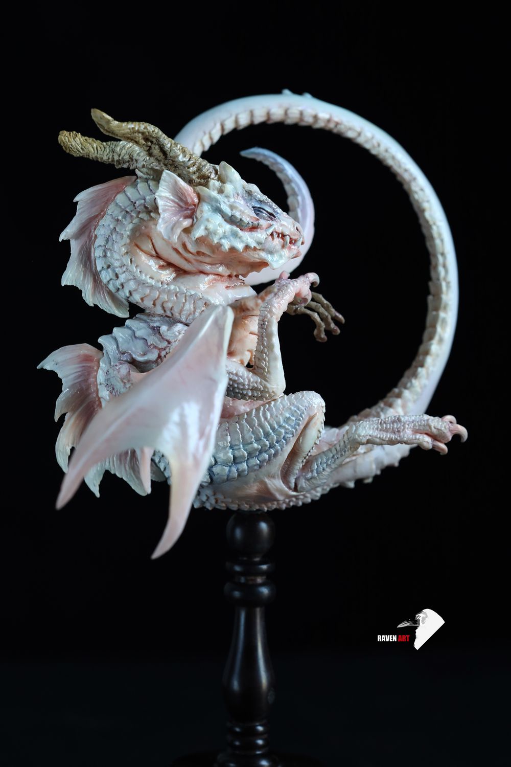 Storytelling Studio - The dragon specimen - white version