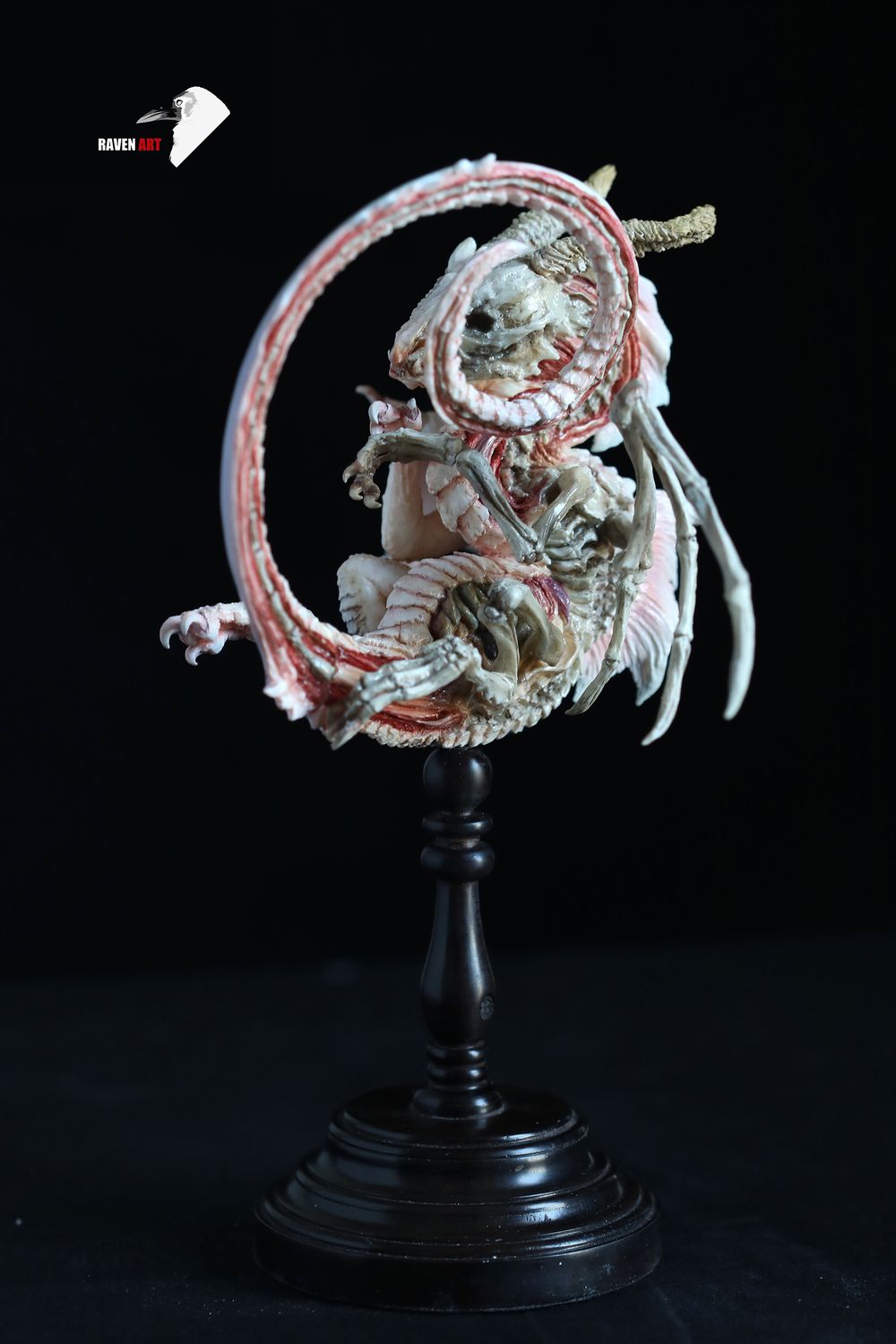 Storytelling Studio - The dragon specimen - white version