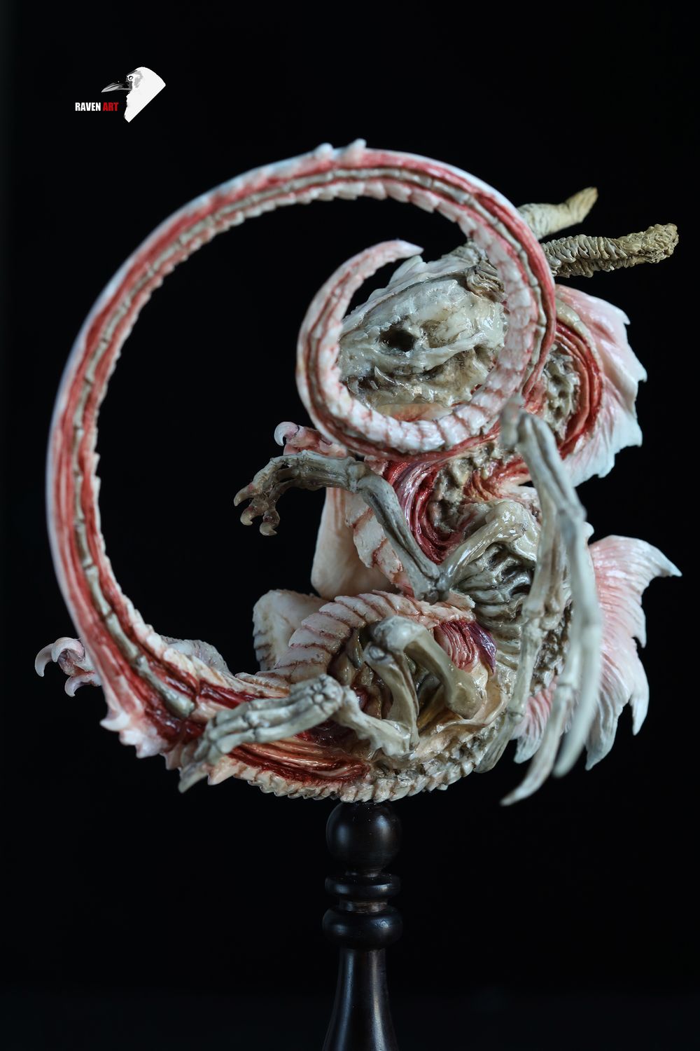 Storytelling Studio - The dragon specimen - white version