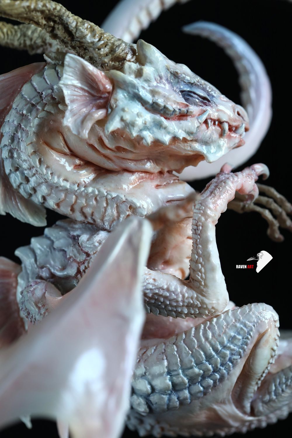 Storytelling Studio - The dragon specimen - white version