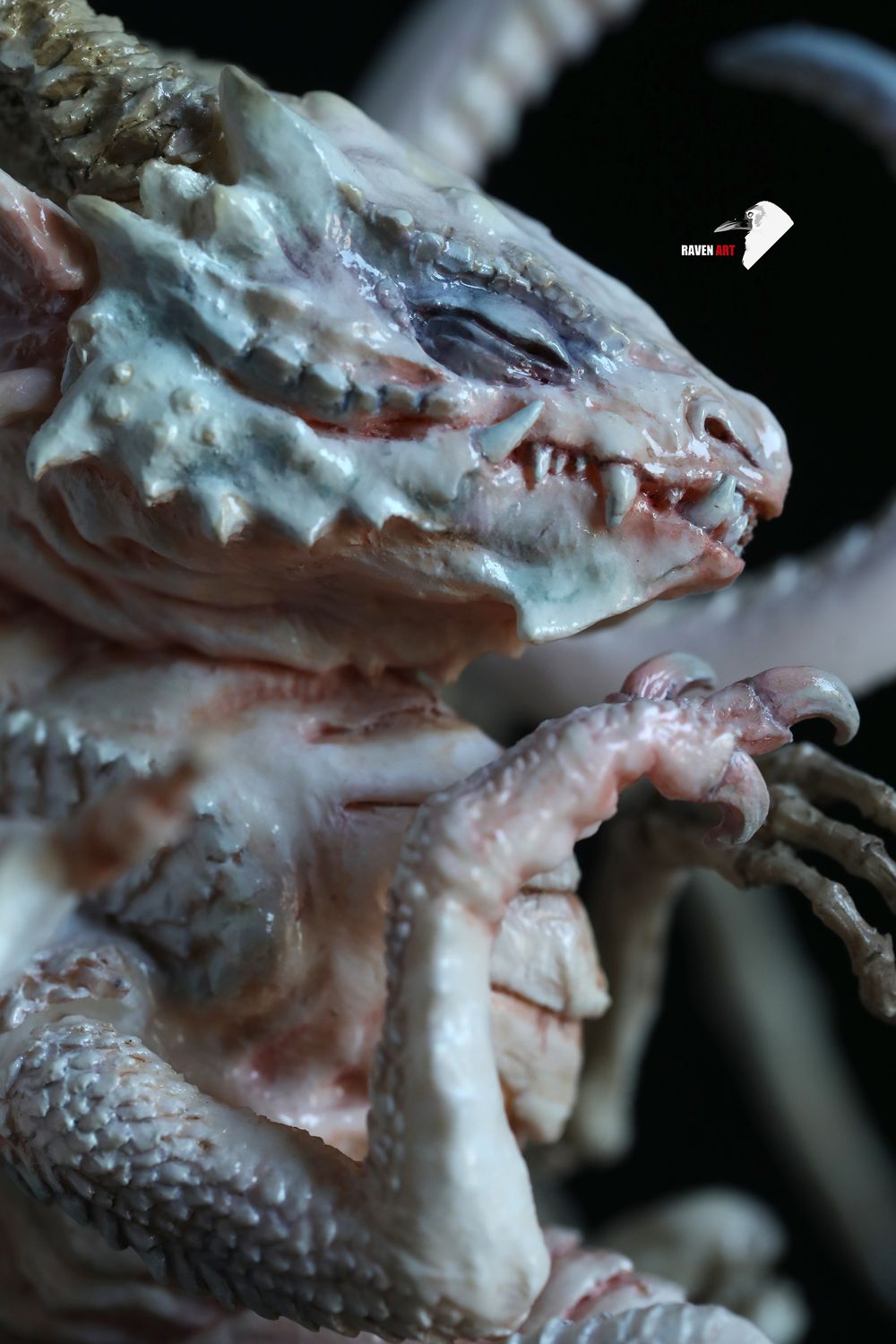 Storytelling Studio - The dragon specimen - white version