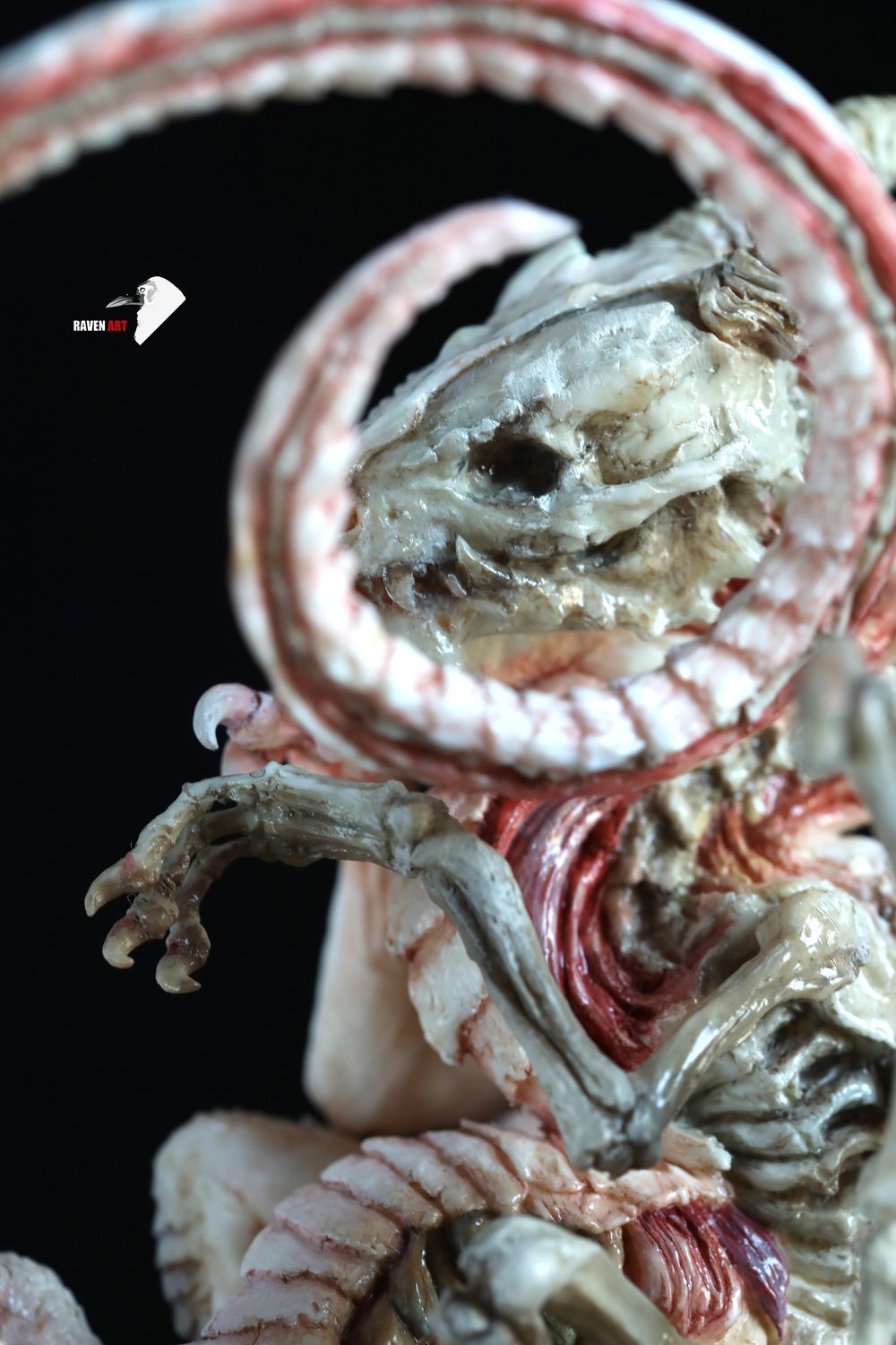 Storytelling Studio - The dragon specimen - white version