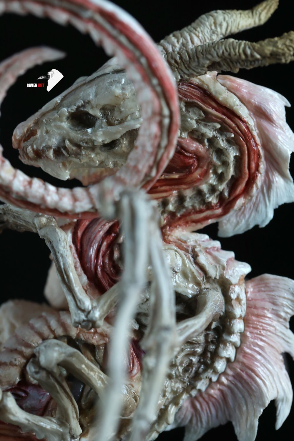 Storytelling Studio - The dragon specimen - white version