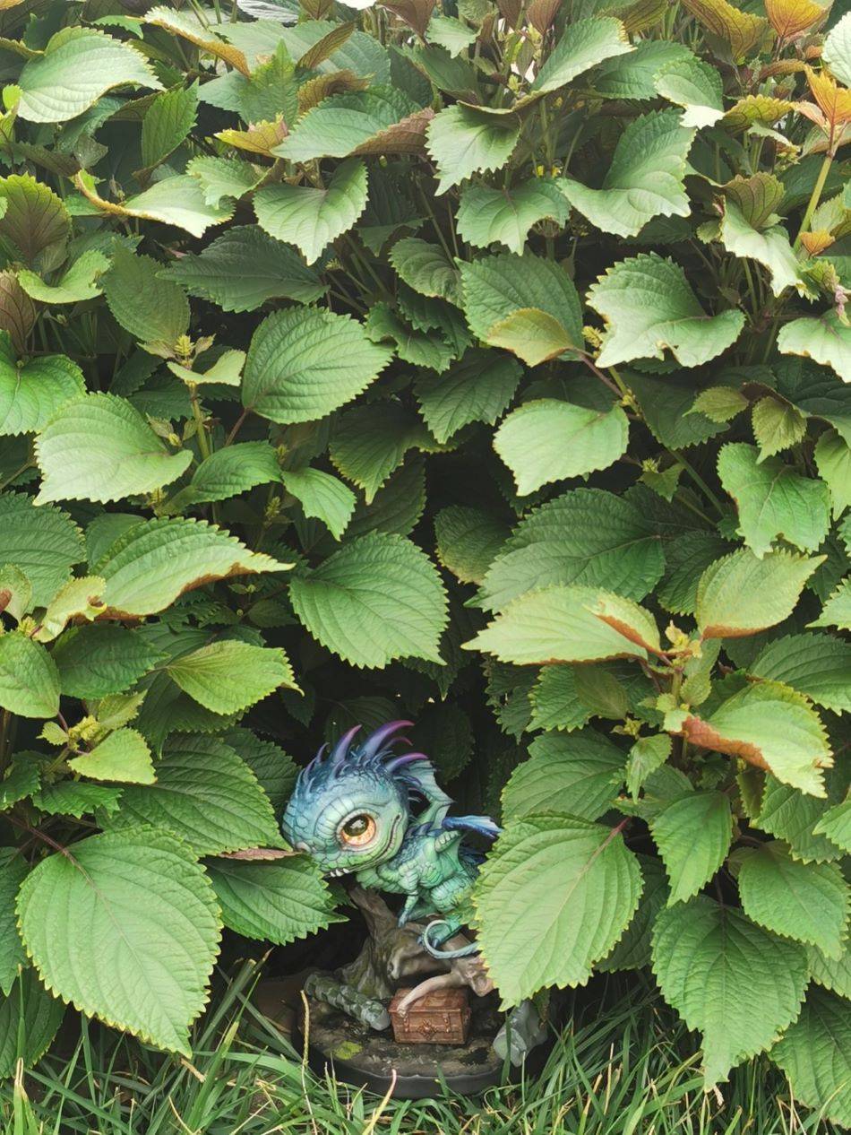 Fantasy Dragon Serier - CICI