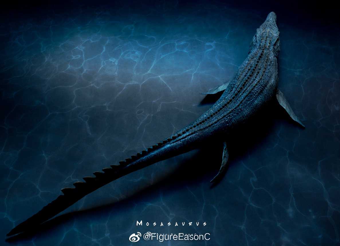 Mosasaurus